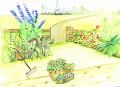 jardin fleuri